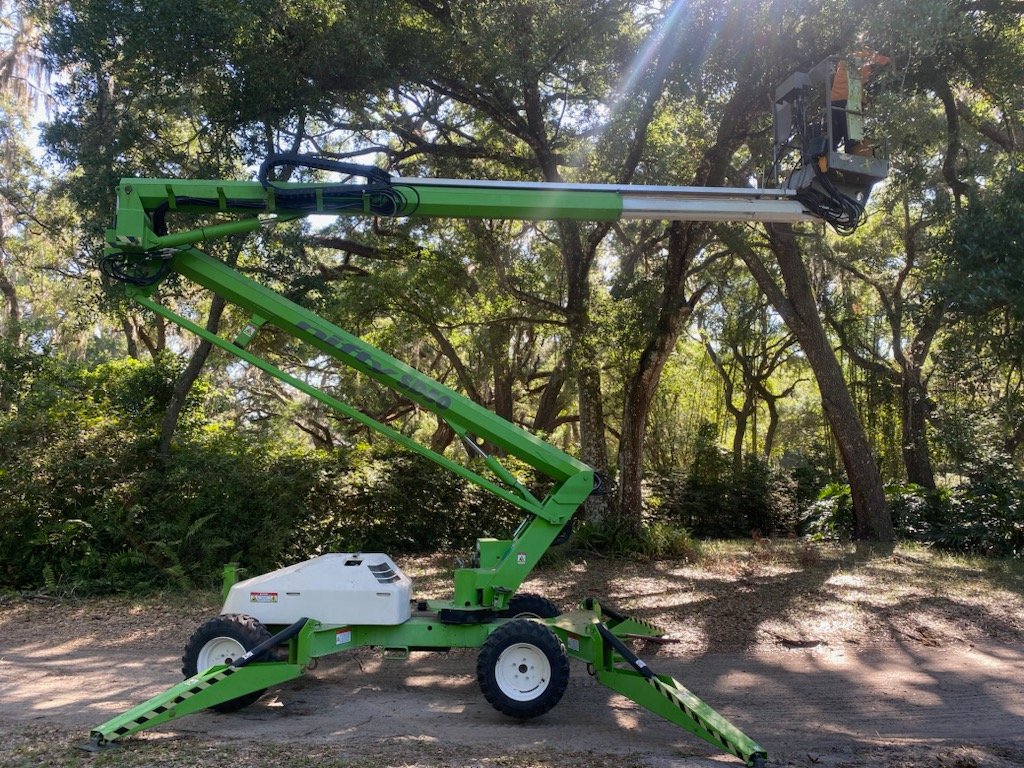 tree removal